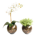 Kit Com 2 Arranjos Formosinha | Orquídea Artificial Branca +